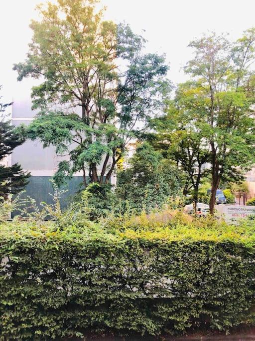 Studio, 11, Parc De Belleville 巴黎 外观 照片